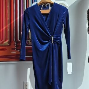 Royal Blue Velvety Long Sleeve Dress